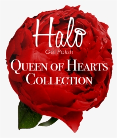 Introducing The Halo Gel Polish Queen Of Hearts Collection, - Greece, HD Png Download, Transparent PNG