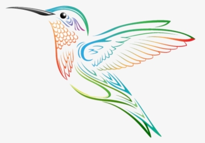 Hummingbird Yoga Studio - Imagenes Del Colibri Animada, HD Png Download, Transparent PNG