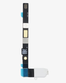 Strap, HD Png Download, Transparent PNG