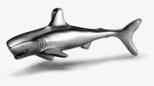 Bronze Hammerhead Shark, HD Png Download, Transparent PNG