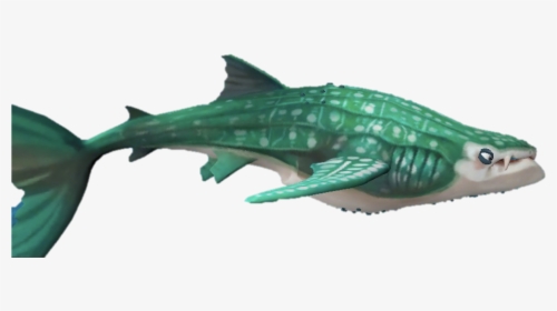 Level 0 Picture1 Copy - Drawing Hungry Shark World Whale Shark, HD Png Download, Transparent PNG