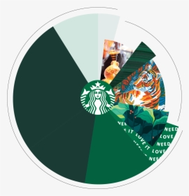 Starbucks Branding, HD Png Download, Transparent PNG