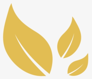 Leaves4 - Graphic Design, HD Png Download, Transparent PNG