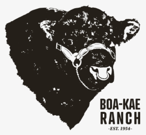 Boa-kae Ranch - Illustration, HD Png Download, Transparent PNG