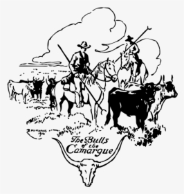 Bulls Of Camargue Png Clip Arts - Cattle Drive Clipart, Transparent Png, Transparent PNG