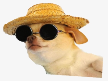 Dog With Sunglasses And Hat, HD Png Download, Transparent PNG