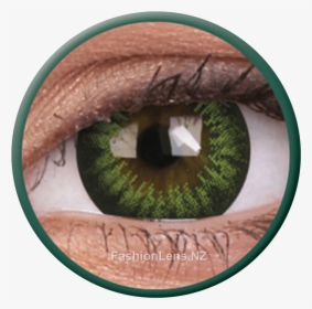 Big Eyes Party Green Colourvue Contact Lenses , Png - Contact Lenses, Transparent Png, Transparent PNG