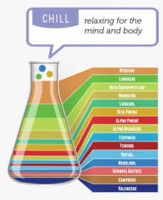 Diagram, HD Png Download, Transparent PNG