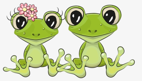 Frog Lithobates Clamitans - Happy Birthday With Frogs, HD Png Download, Transparent PNG