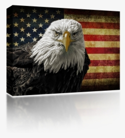 Veterans Day Eagle American Flag, HD Png Download, Transparent PNG