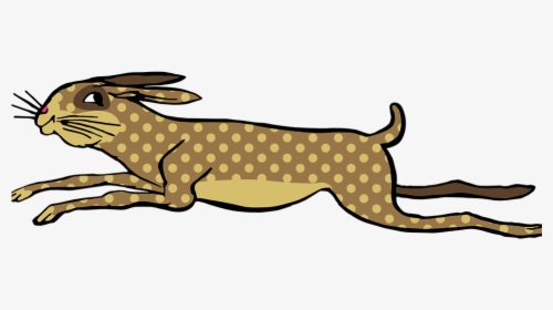 Hare, HD Png Download, Transparent PNG