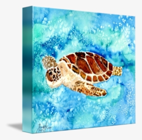 Sea Turtle Sea Life Painting Print By Derek Mccrea - Turtle Painting, HD Png Download, Transparent PNG