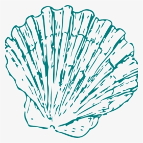 Seashell Clipart Greeen Sea Shell Clip Art At Clker - Seashell Clip Art, HD Png Download, Transparent PNG
