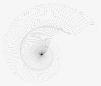 Spiral,circle,white - Nautilus Abstract Vector, HD Png Download, Transparent PNG