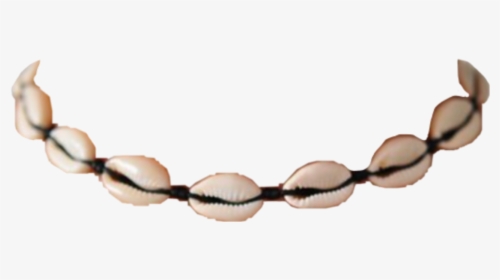 Cowrieshell Shell Necklace Shellnecklace Freetoedit - Cowrie Shell Necklace Transparent, HD Png Download, Transparent PNG