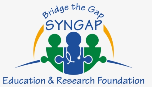 Bridge The Gap Syngap, HD Png Download, Transparent PNG