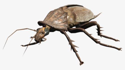 Radroach - Fallout Radroach, HD Png Download, Transparent PNG