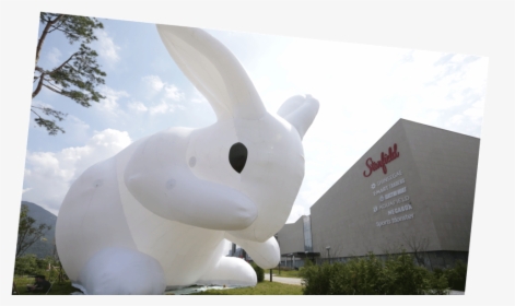 Starfield Hanam Shopping Theme Park Rabbit - Domestic Rabbit, HD Png Download, Transparent PNG