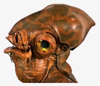 Star Wars Species, HD Png Download, Transparent PNG