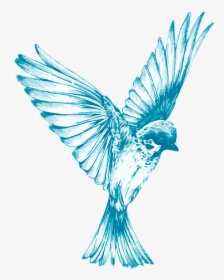 Little Bird Fly, HD Png Download, Transparent PNG
