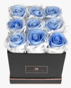 Blue Rose, HD Png Download, Transparent PNG
