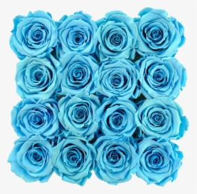 Blue Preserved Roses - Floribunda, HD Png Download, Transparent PNG