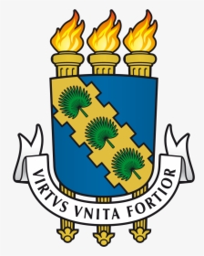 Thumb Image - Universidade Federal Do Ceará Logo, HD Png Download, Transparent PNG