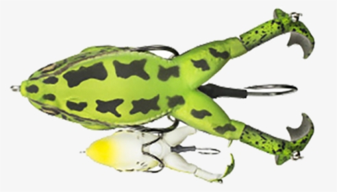 Lunkerhunt Prop Frog Leopard, HD Png Download, Transparent PNG