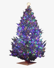Christmas Tree Star Png, Transparent Png, Transparent PNG
