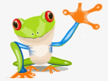 Rainbow Frames Illustrations Hd - Cartoon Tree Frog, HD Png Download, Transparent PNG