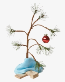 #christmastree #christmas #charliebrown #charliebrownchristmas - Transparent Charlie Brown Christmas Tree, HD Png Download, Transparent PNG