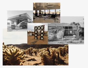 Desert Southwest Joshua Tree Header - House, HD Png Download, Transparent PNG