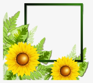 Sunflower Border Png - Yellow Flower Borders And Frames, Transparent Png, Transparent PNG