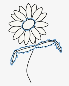 Drawing Sunflower Center Huge Freebie Download For - Daisy Drawing Transparent Background, HD Png Download, Transparent PNG