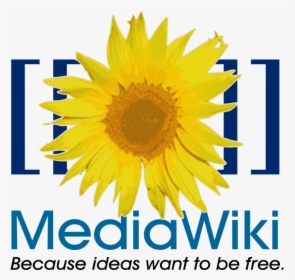 File - Mediawiki - Svg - Mediawiki Svg, HD Png Download, Transparent PNG