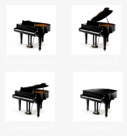 Fortepiano, HD Png Download, Transparent PNG