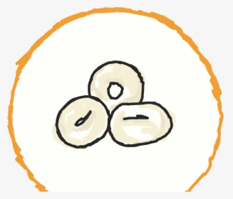 Circle, HD Png Download, Transparent PNG