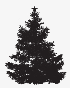 Pine Tree No Background, HD Png Download, Transparent PNG