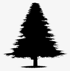 Fir Tree Silhouette - Animated Silhouette Christmas Trees, HD Png Download, Transparent PNG