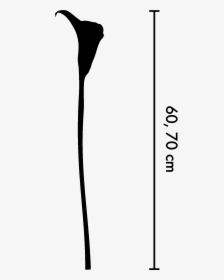 Silhouette, HD Png Download, Transparent PNG