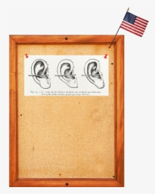 Listening Game Board Copy - Plywood, HD Png Download, Transparent PNG