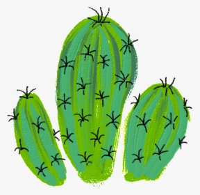 #cactus #desert #plant #green #spins #flower #decoration - Banana, HD Png Download, Transparent PNG