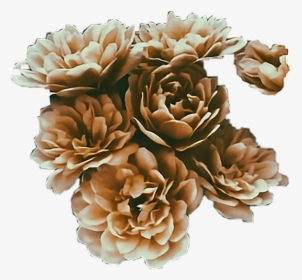 Transparent Brown Flower Png - Transparent Png Brown Flowers, Png Download  , Transparent Png Image - PNGitem