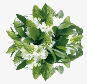 Star Of Bethlehem Flower Bouquet, HD Png Download, Transparent PNG