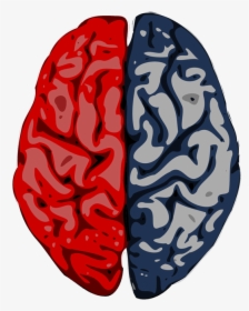 Marketing Requires Creative And Analytical Minds - Transparent Left Brain Right Brain Png, Png Download, Transparent PNG