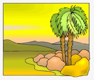 Tropical Tree Color Illustration - Sabal Palmetto, HD Png Download, Transparent PNG