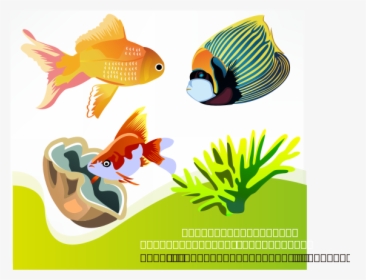 Free Vector Fish Svg Clip Arts - Cartoon Fish Plants, HD Png Download, Transparent PNG