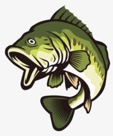 Bass Fish Vector Clipart Banner Free Library Largemouth - Bass Clipart, HD Png Download, Transparent PNG