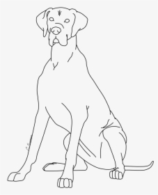 Great Dane Coloring Page - Line Art, HD Png Download, Transparent PNG