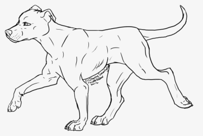 Drawn Pit Bull Chibi - Pitbull Coloring Page Free, HD Png Download, Transparent PNG